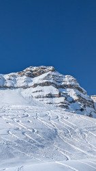 Va(r)s chercher bonheur !