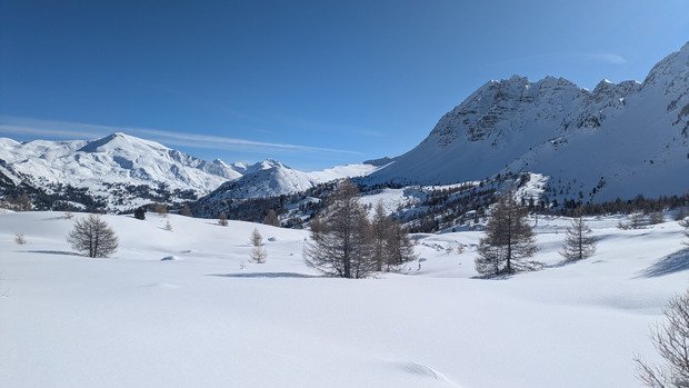 Va(r)s chercher bonheur !