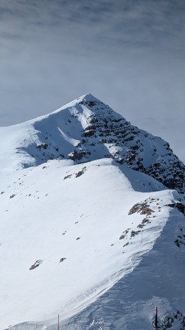 Va(r)s chercher bonheur !