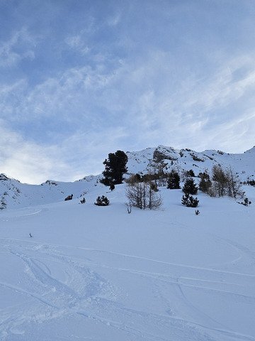 Carver comme un sagouin