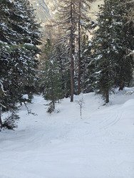 Carver comme un sagouin