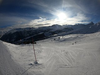 Excellente traffole peuffienne sous le soleil