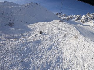 Excellente traffole peuffienne sous le soleil