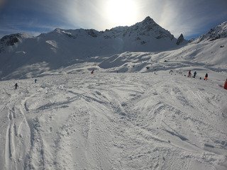 Excellente traffole peuffienne sous le soleil