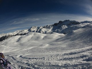 Excellente traffole peuffienne sous le soleil
