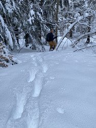 La Chartreuse comme nous aimerions la voir plus souvent!