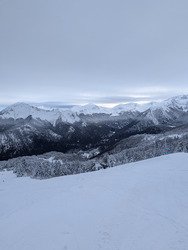 Dame nature nous g&acirc;te 