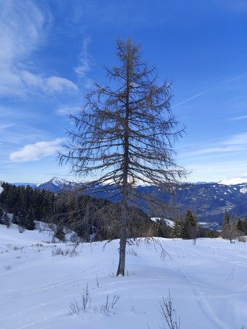Le Vent-tri-loque 🌬️