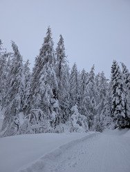 Laye c'&eacute;tait gav&eacute; !