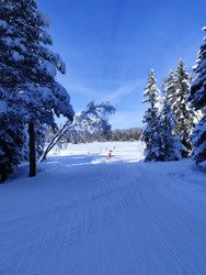 D&eacute;couverte de la piste des Li&egrave;vres