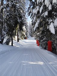 D&eacute;couverte de la piste des Li&egrave;vres