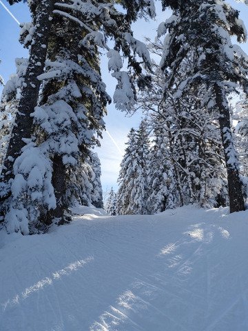 D&eacute;couverte de la piste des Li&egrave;vres