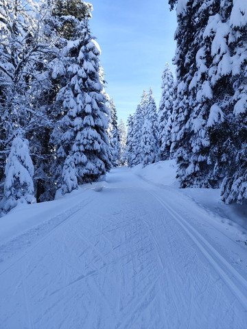 D&eacute;couverte de la piste des Li&egrave;vres