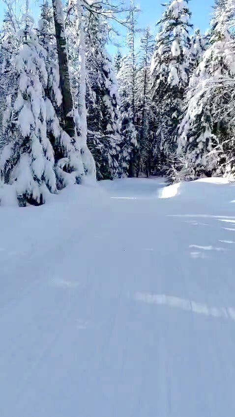D&eacute;couverte de la piste des Li&egrave;vres