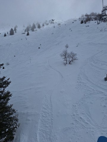 Tr&egrave;s bon sur les bonnes expositions 