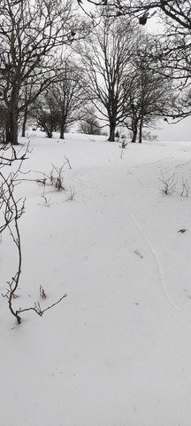 Prendre l'air &agrave; tous points de vues aux Signaraux 