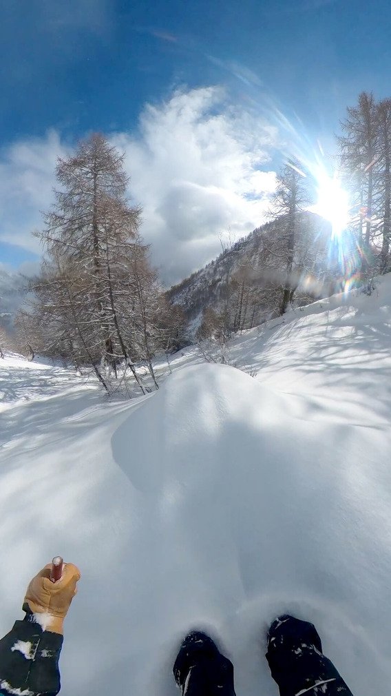 Giboul&eacute;es de f&eacute;vrier