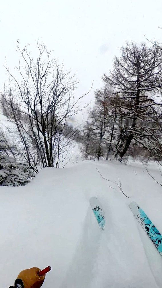 Giboul&eacute;es de f&eacute;vrier