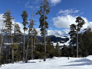 Freeride &agrave; gogo &agrave; Masella !