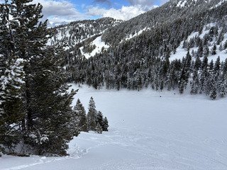 Freeride &agrave; gogo &agrave; Masella !