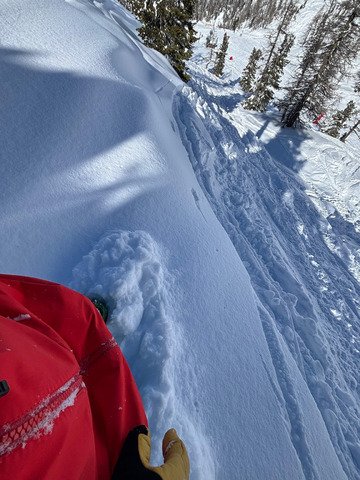 &Agrave; la recherche du bon Iso!