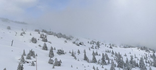 M&eacute;t&eacute;o tr&egrave;s mitig&eacute;e mais bonne neige