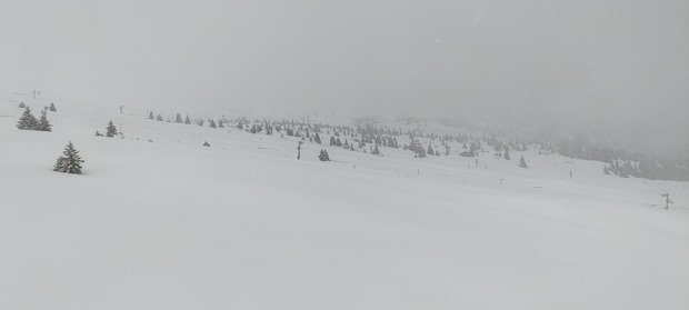 M&eacute;t&eacute;o tr&egrave;s mitig&eacute;e mais bonne neige