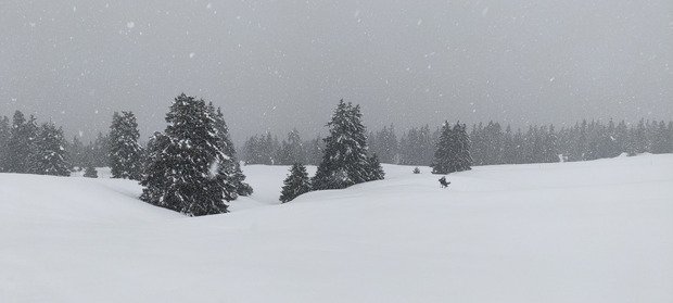 M&eacute;t&eacute;o tr&egrave;s mitig&eacute;e mais bonne neige