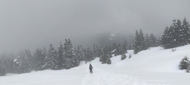 M&eacute;t&eacute;o tr&egrave;s mitig&eacute;e mais bonne neige