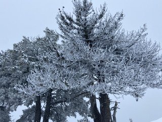 Mont&eacute;e dans le brouillard, descente sur de la poudreuse quasi vierge ✨
