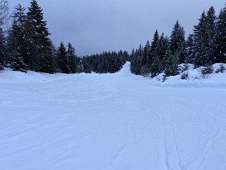 Mont&eacute;e dans le brouillard, descente sur de la poudreuse quasi vierge ✨