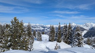Ar&ecirc;ches grand Beau-fort !