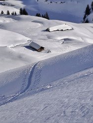 La routourne de poupoudre n'a pas encore tourn&eacute; 