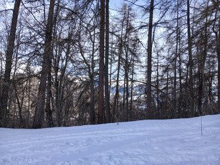 Pas tant de monde que pr&eacute;vu 