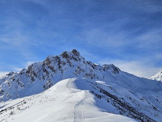 Le go&ucirc;t des choses simples