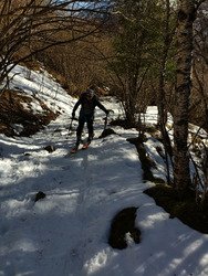 Lost in Paradise Valley