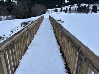 Sortie raquettes &agrave; neige 😍