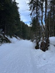 Sortie raquettes &agrave; neige 😍