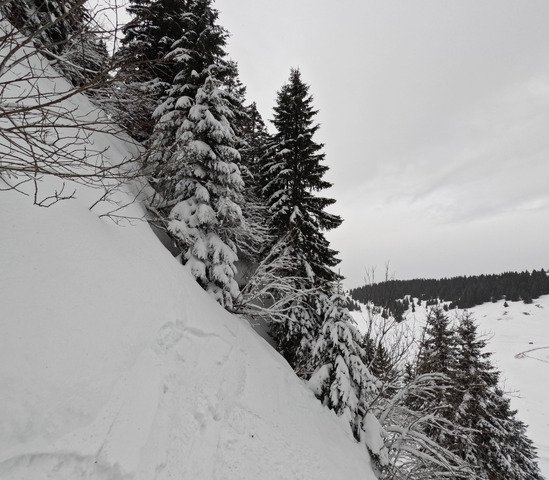 Sortie rapide en local 