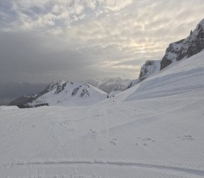 Sortie rapide en local 