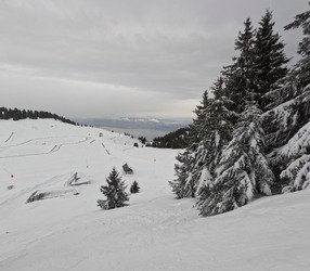 Sortie rapide en local 