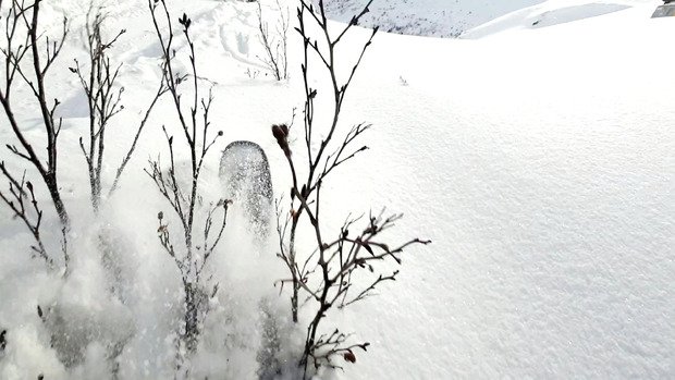 Orgie de poudreuse en altitude, fantastique et trop fun !