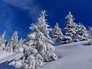 Une derni&egrave;re pas pire 😎🤩🤩