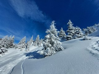 Une derni&egrave;re pas pire 😎🤩🤩