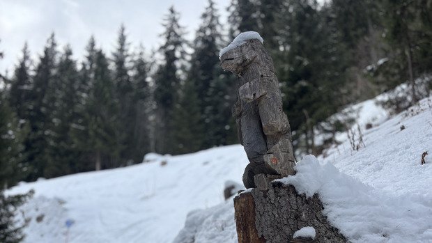 C&rsquo;est encore calme sur le domaine 