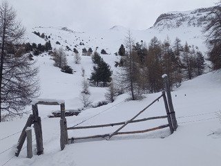 Manquait que la lumi&egrave;re 