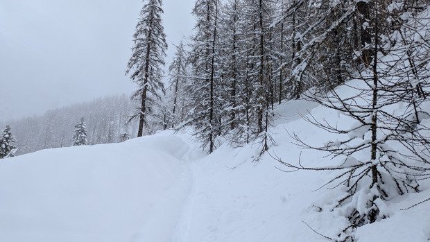 neige lourde &agrave; la Ratelle