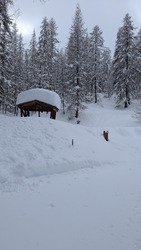 neige lourde &agrave; la Ratelle
