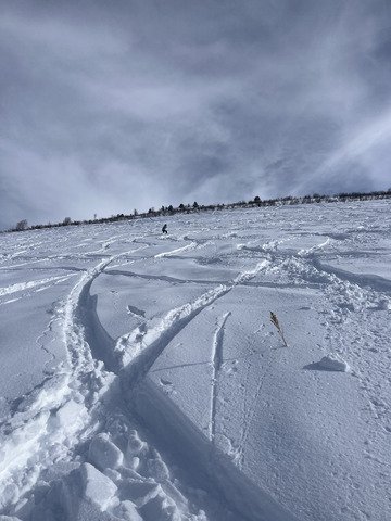 Quand on aime, on y retourne.