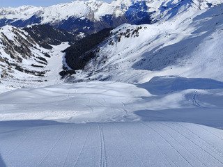 Chercheur d'or (blanc) 🔎